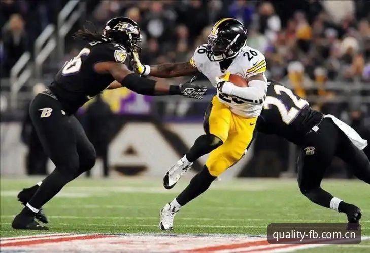 FB SPORT网页版登录详解：便捷观赛与数据体验